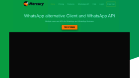 What Mercury.chat website looked like in 2020 (4 years ago)