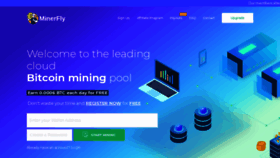 What Minerfly.com website looked like in 2020 (3 years ago)