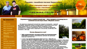 What Med-v-spb.ru website looked like in 2020 (3 years ago)