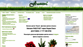 What Magazincvetov.kz website looked like in 2020 (3 years ago)
