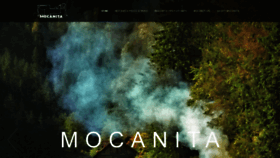 What Mocanita.com website looked like in 2020 (3 years ago)