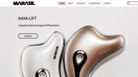 What Marasil-global.com website looked like in 2020 (4 years ago)