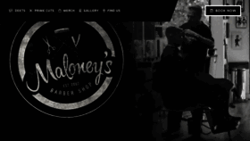 What Maloneys.co.nz website looked like in 2020 (3 years ago)