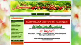 What Magnolia45.ru website looked like in 2020 (3 years ago)