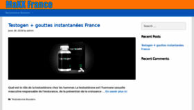 What Maxxfrance.com website looked like in 2020 (3 years ago)