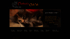 What Maine-coons.sk website looked like in 2020 (3 years ago)