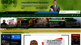 What Maranki.com website looked like in 2020 (3 years ago)