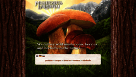What Mushroom-bulgaria.com website looked like in 2020 (3 years ago)
