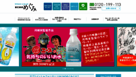 What Mcm-megumi.com website looked like in 2020 (3 years ago)