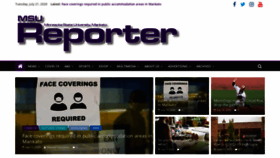 What Msureporter.com website looked like in 2020 (3 years ago)