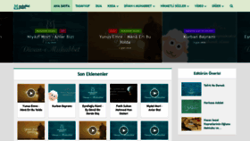 What Muhabbetpinari.net website looked like in 2020 (3 years ago)