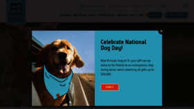 What Morrisanimalfoundation.org website looked like in 2020 (3 years ago)