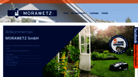 What Morawetz.info website looked like in 2020 (3 years ago)