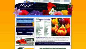 What Mainwholesaleflorist.com website looked like in 2020 (3 years ago)