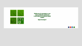What Mediterraneadeagroquimicos.cat website looked like in 2020 (3 years ago)