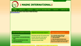 What Madniinternational.in website looked like in 2020 (3 years ago)