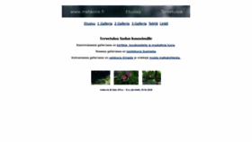 What Metavire.fi website looked like in 2020 (3 years ago)