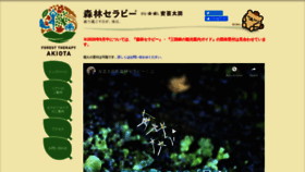What Morimin.jp website looked like in 2020 (3 years ago)