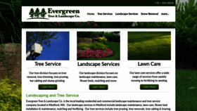 What Masstreeandlandscape.com website looked like in 2020 (3 years ago)