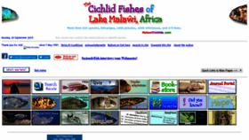 What Malawicichlids.com website looked like in 2020 (3 years ago)