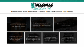 What Magimag-telecom.fr website looked like in 2020 (3 years ago)