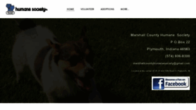 What Mchsshelter.org website looked like in 2020 (3 years ago)