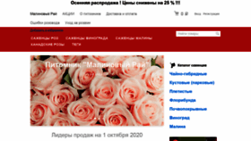 What Malina-vip.ru website looked like in 2020 (3 years ago)