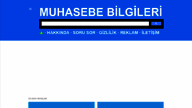 What Muhasebebilgileri.com website looked like in 2020 (3 years ago)