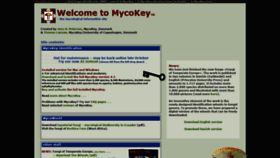 What Mycokey.com website looked like in 2020 (4 years ago)