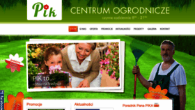 What Marketypik.pl website looked like in 2020 (3 years ago)
