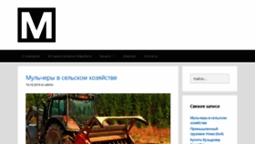 What Macr.ru website looked like in 2020 (3 years ago)