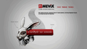 What Mevix.ru website looked like in 2020 (3 years ago)