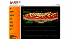What Mssf.org website looked like in 2020 (3 years ago)