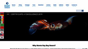 What Mantaray.com website looked like in 2020 (3 years ago)