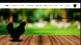 What Morghe-marandi.ir website looked like in 2020 (3 years ago)