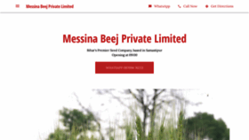 What Messinabeej.com website looked like in 2020 (3 years ago)