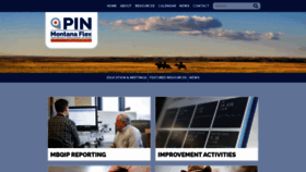 What Mtpin.org website looked like in 2020 (3 years ago)