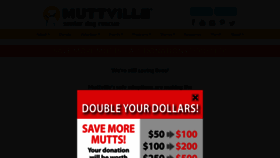 What Muttville.org website looked like in 2020 (3 years ago)