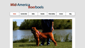 What Midamericaboerboels.com website looked like in 2020 (3 years ago)