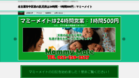 What Mammy-mate.com website looked like in 2021 (3 years ago)