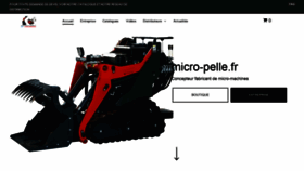 What Micro-pelle.fr website looked like in 2021 (3 years ago)