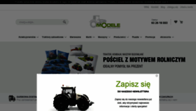 What Modelerolnicze.pl website looked like in 2021 (3 years ago)