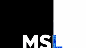 What Mslgroup.com website looked like in 2021 (3 years ago)