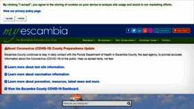 What Myescambia.com website looked like in 2021 (4 years ago)