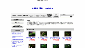 What Mizunokusa.com website looked like in 2021 (3 years ago)