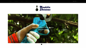 What Mandolinshrinivas.org website looked like in 2021 (4 years ago)