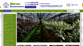 What Mosrassada.ru website looked like in 2021 (2 years ago)