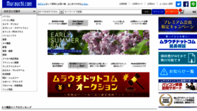 What Murauchi.com website looked like in 2021 (2 years ago)