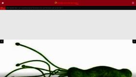 What Mideagrisinaneiyigelir.com website looked like in 2021 (2 years ago)