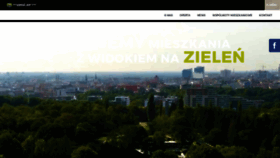 What Masterm.pl website looked like in 2021 (2 years ago)